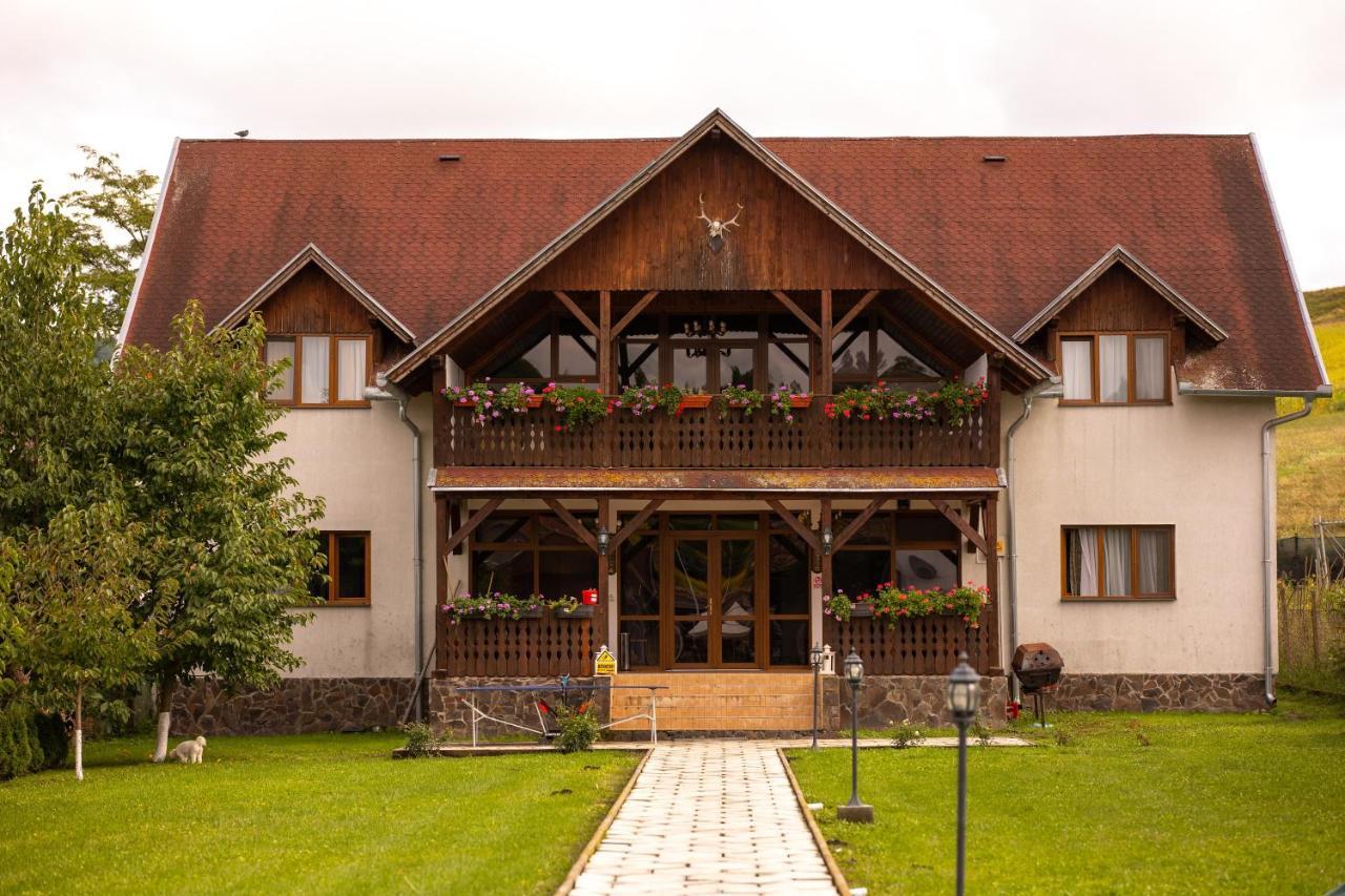 Pensiunea Sachsenhof Bagaciu Dış mekan fotoğraf